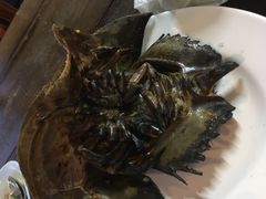 鲎-Wang Sai Seafood