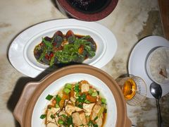 -佬肥猫(国华广场店)