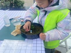 -嘉北郊野公园