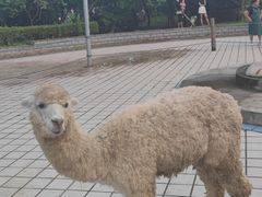 -宁波野生动物园