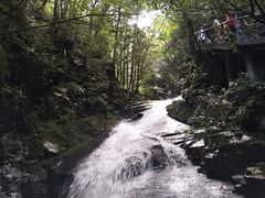 -藏龙百瀑风景区