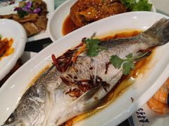 -八大碗·地道东北菜(白塔堡店)