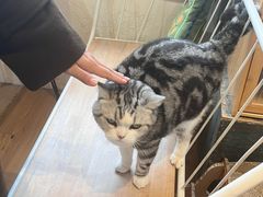 -小时光咖啡馆(开森度假森林店)