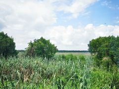 -南沙十九涌渔人码头-南门