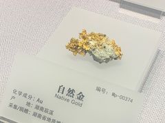 -湖南省地质博物馆