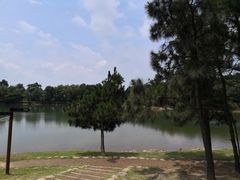 -南京市无想山景区