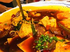 传统毛血旺-渝乡人家(和平里店)