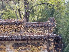 -老张烤羊(王哥庄店)