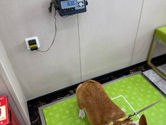 -瑞鹏宠物医院·骨外科·心肾科·肿瘤科(九亭店)