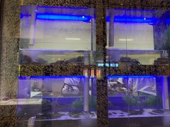 -七欣天香辣蟹火锅(万达广场店)