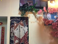 -李小姐の猫咖啡馆(五角场店)