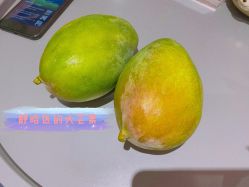 -琦品高端美容SPA会所