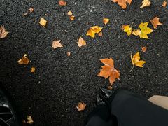 -河南省黄河迎宾馆