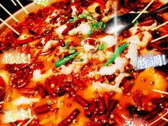 龙胆石斑鱼-滋色臻选川菜(北京坊旗舰店)