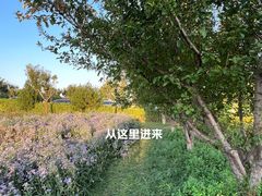-君乐宝优致牧场
