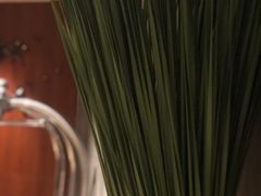 -香港尖沙咀凯悦酒店