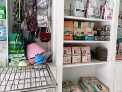 -爱贝特动物医院·猫口炎专科