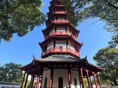 -绳金塔