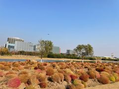 -春花秋色城市公园