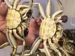 -祥鹤龙虾螃蟹
