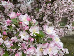 -元大都城垣遗址公园