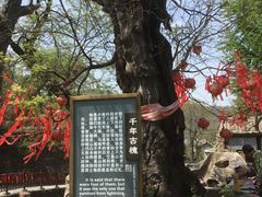 -水峪民俗村