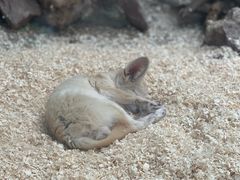 -广州长隆飞鸟乐园
