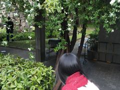 -四川大学(望江校区)
