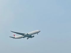 -空港花田景区
