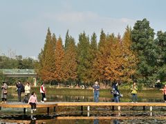 -白鹭湾湿地公园