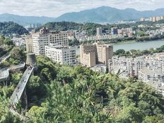 -福道