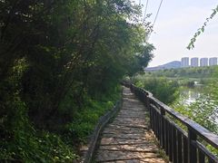 -前关湿地公园