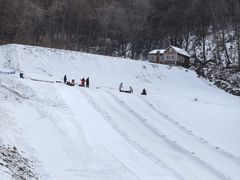 -五家山森林公园滑雪场