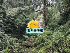 -南昆山川龙瀑布