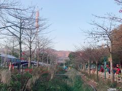 -盈香心动乐园