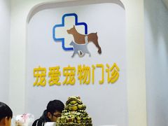 -宠爱24小时宠物医院·犬猫全科·异宠科(湛河南路店)
