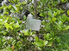 -广州神农草堂中医药博物馆