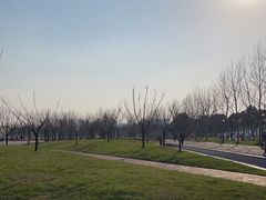 -上海山野camping·户外天幕烧烤·团建拓展营地