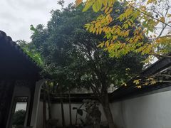 -秋霞圃