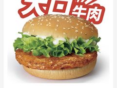 -华莱士·全鸡汉堡(财经学院店)