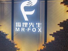 -Mr.Fox狐狸先生超级密室(南山店)