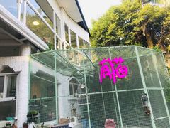 -有猫主题·治愈系猫咖(曾厝垵店)