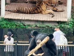 -石家庄市动物园