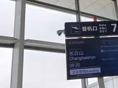 -青岛胶东国际机场