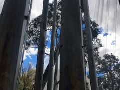 -墨尔本博物馆(Melbourne Museum)