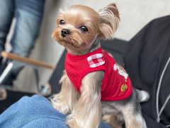 -小龍鳳餐室(番禺路店)