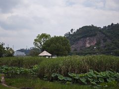 -新安江山水画廊风景区
