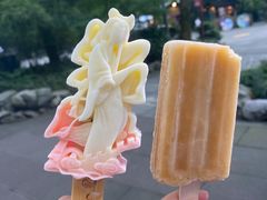 -西湖游船