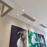 爱喝下午茶
