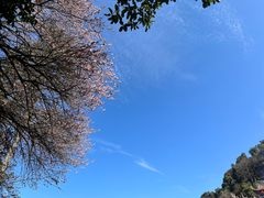 -安溪清水岩